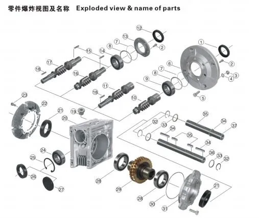 Eed Transmission Manufacturer of Customized Worm Gearbox E-RV130